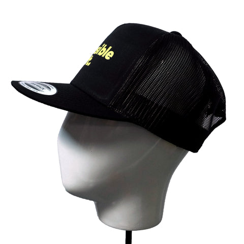 Responsible Adult Mesh Back Hat